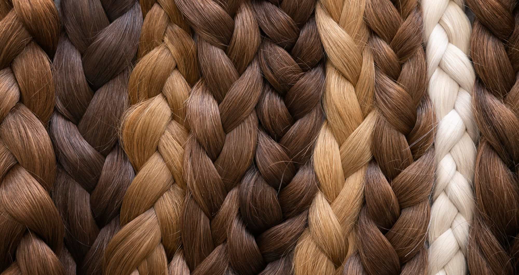 სხვა